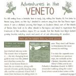 Adventures in Veneto