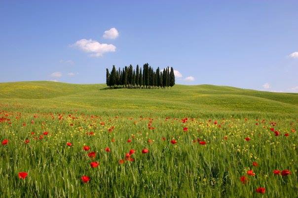 Women Tours Italy, Small Group Tour, Susan Van Allen, 100 Places in Italy Every Womn Should Go, Golden Week in Tuscany, For Women Only